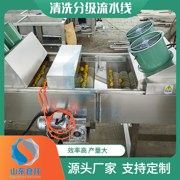 苹果橘子分级流水线 土豆萝卜清洗分级机 红薯干成套设备