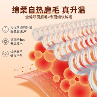 加厚被罩全棉单人B2024新款 磨毛被套单件秋冬季 200x230四件套1