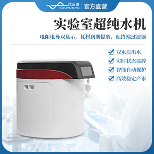 超纯水仪器设备实验室超纯水系统超纯水仪水净化设备 超纯水机立式
