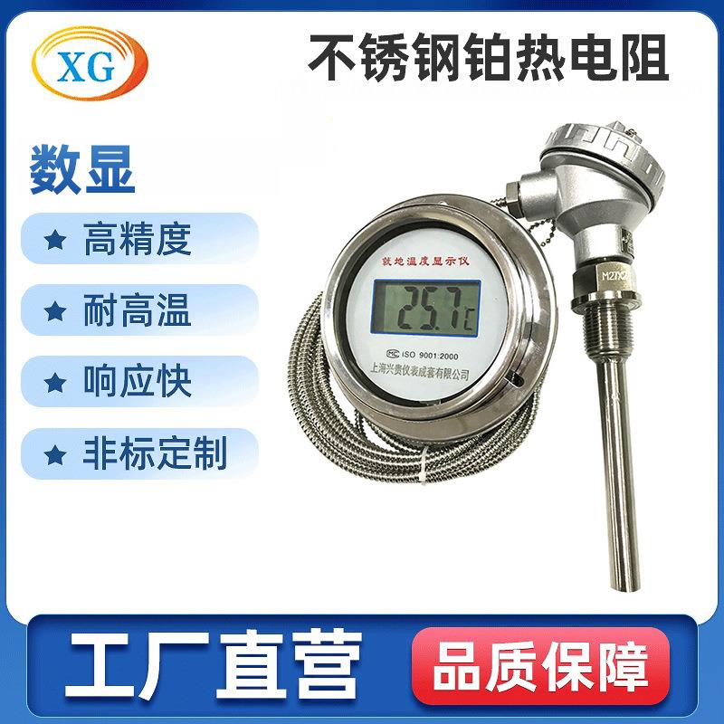 厂家提供高精度数显铂热电阻温度计数显热电偶温度计
