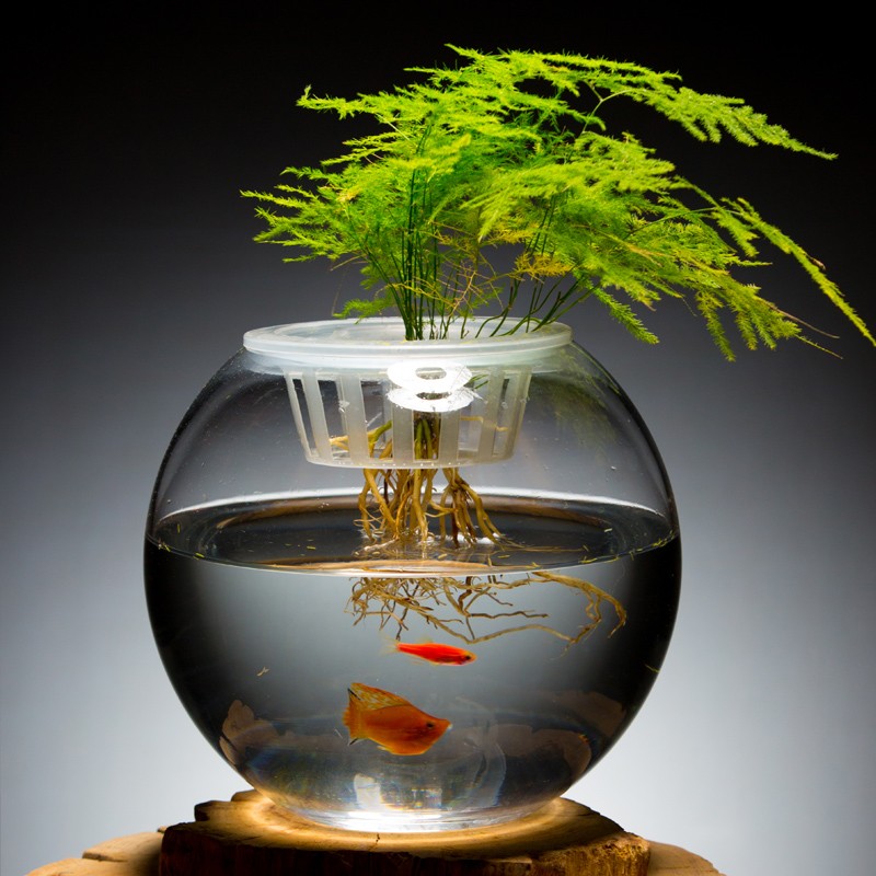 加厚水培植物玻i璃瓶 圆形透明玻璃花瓶绿萝客厅玻璃器皿摆件