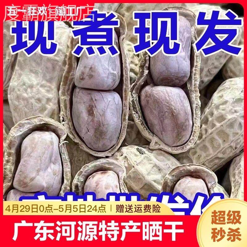 广东河源特产农家水煮花生晒干原味咸干花生坚果零食带壳袋装特产