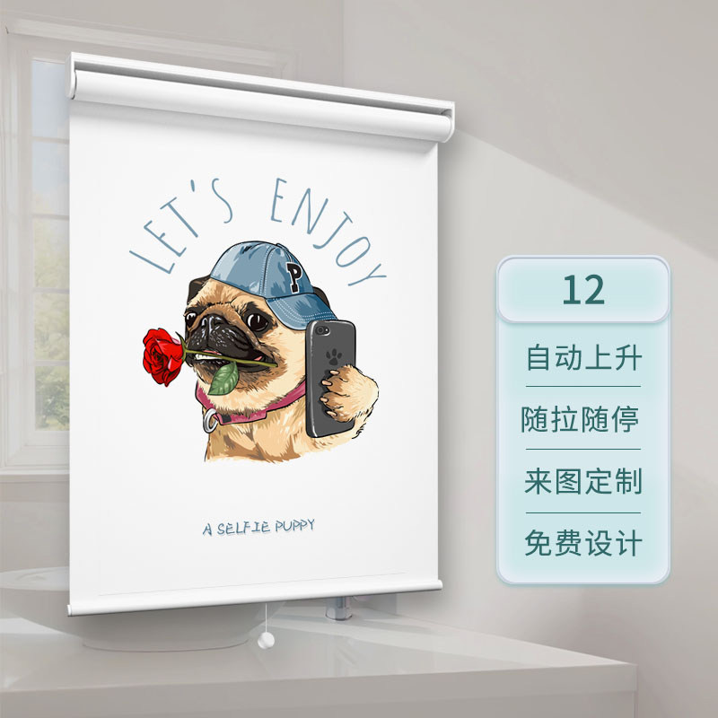 升降卷帘伸缩遮阳帘免打孔浴室厨房办公室自动回弹窗帘上下拉帘卷,居家布艺,卷帘,淘宝优惠券,粉丝福利购,淘宝优惠卷