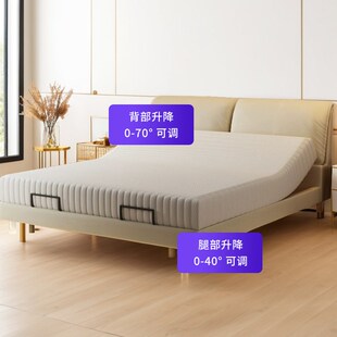 智能床大象R耳悬浮情侣悬浮床 自动升降电动智能床八大模式