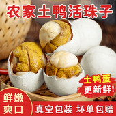 鸭蛋活珠子14天新鲜毛蛋喜蛋钢化鸭蛋土鸭蛋生胚胎受精鸭蛋活珠子