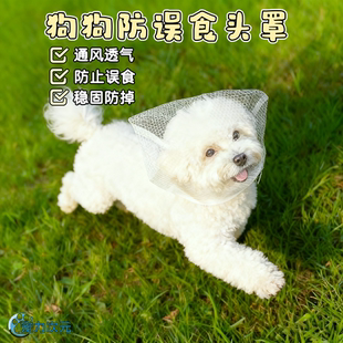 狗狗头套防乱吃舒适透气中小型犬专用小狗嘴套防误食咬人防舔网套
