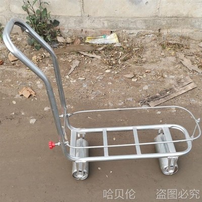 大棚西红柿黄瓜运输车蔬菜瓜果采摘车姜种搬运车搬运车田垄种植