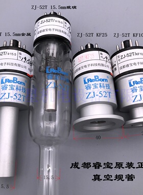 睿宝电阻真空计规管硅管ZJ-52T CF35 KF16 KF10 ZJ-10b ZJ-27 54