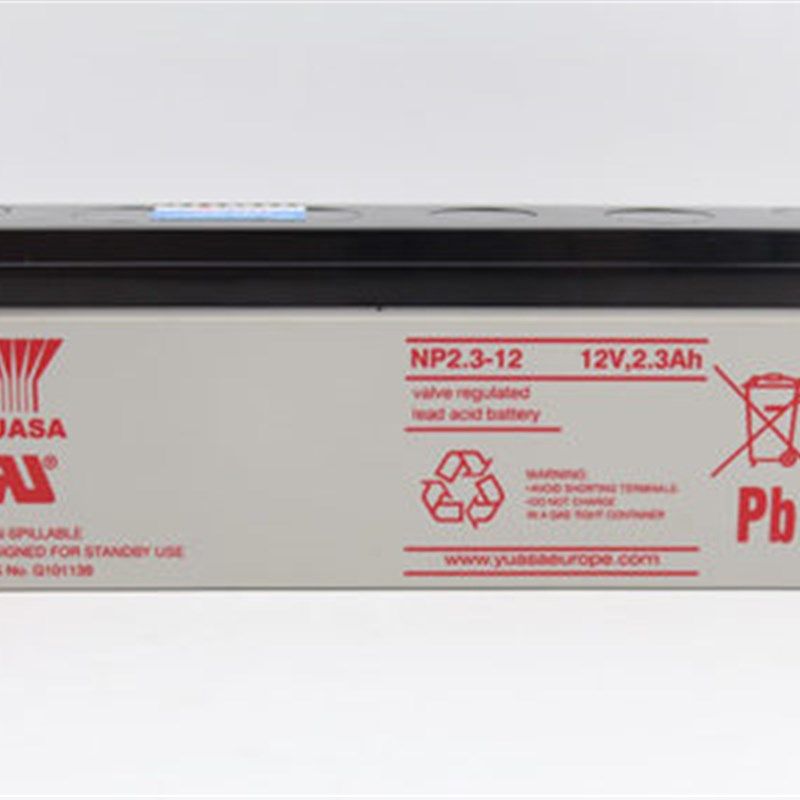 汤浅蓄电池(YUASA) NP2.3-12 12V2.3AH 童车 玩具 仪器 专用电瓶,鲜花速递/花卉仿真/绿植园艺,淘宝优惠券,粉丝福利购,淘宝优惠卷