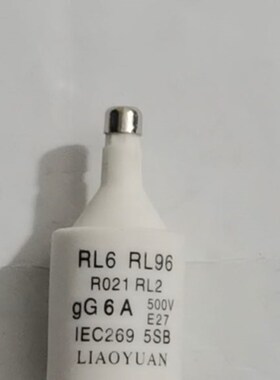 浙江燎原RO21(RL6-25)2-25A  R021(一盒20只)