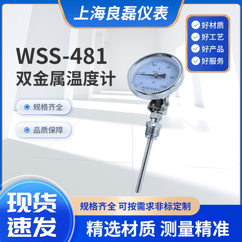 万向型不锈钢工业双金属温度计管道温度计锅炉高温蒸汽机械WSS481