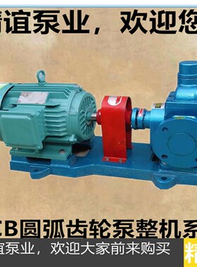 包邮圆弧齿轮油泵YCB15/0.6 柴油泵抽油神器泵自吸泵齿轮油泵整机