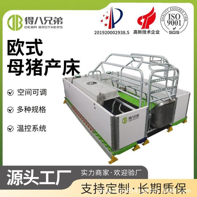 养猪设备产床母猪品质钢材稳固耐用超安心商用热镀锌耐热镀锌