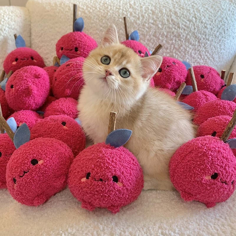 宠物玩具猫咪解闷自嗨木天蓼逗猫啃咬磨牙棒耐撕咬清新口腔猫薄荷