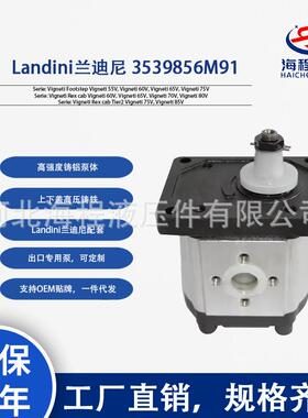 3539856M91SNP2/8SC001兰迪尼55V60V65V75V80V