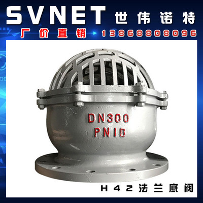 H42W-6C碳钢法兰式底阀 水泵吸水阀抽水单向阀升降式滤水井底阀门