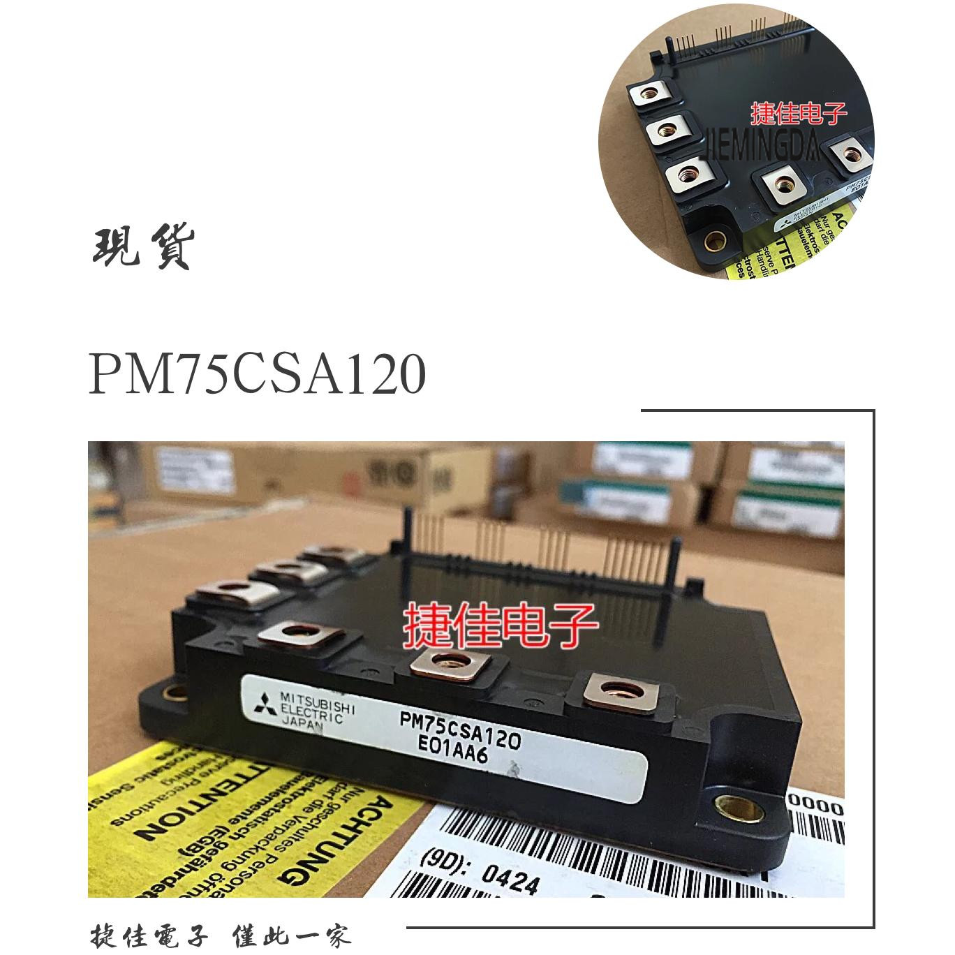 PM75CSA060 PM75CSD060 PM75CSE060 PM100CSA120 PM100CSD060