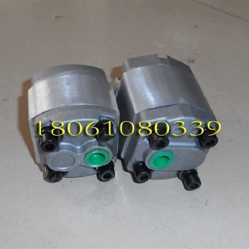 CBK-F2.5 F1.6 F2.1 F2.6 F3.2 F3.7 F4.2 F5.8 F6 F8齿轮油泵L