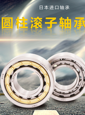进口NSK圆柱滚子轴承 NU203 204 205 206 207 208 209 EW EM