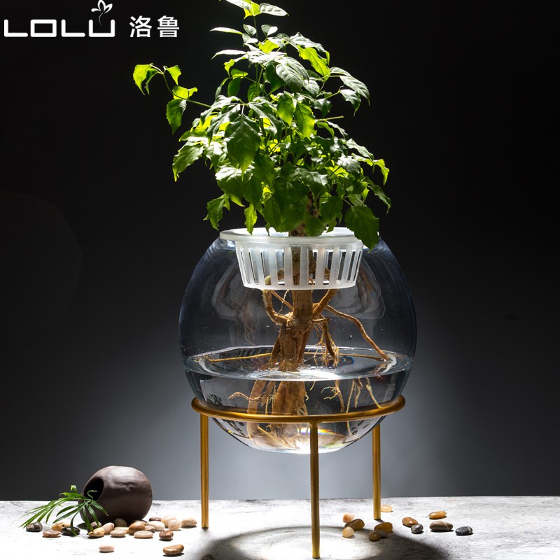 加厚水培植物玻璃瓶 圆形透明C玻璃花瓶绿萝客厅玻璃器皿摆件