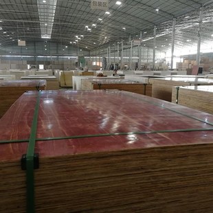 7层建筑木板工地现浇模板木工板建筑现浇混凝土用欢迎询