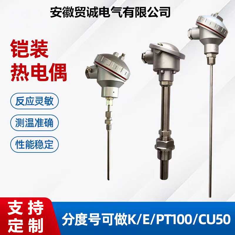 贸诚仪表热电偶WRNK2-231/L×l=880×630mm/φ20mm 0~1300℃