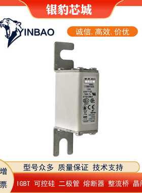 170M1558 170M1559 170M1560 170M1561 170M1562 170M1563熔断器