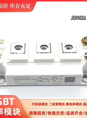 SKM150GB12T4 200GB12 SKM300GB123DH6 SKM100GAL123D SKD160/12