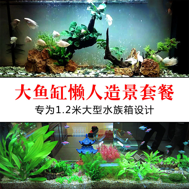 鱼缸造景套餐真水草沉木1.2米水族箱假山石成品全套活体水草包邮