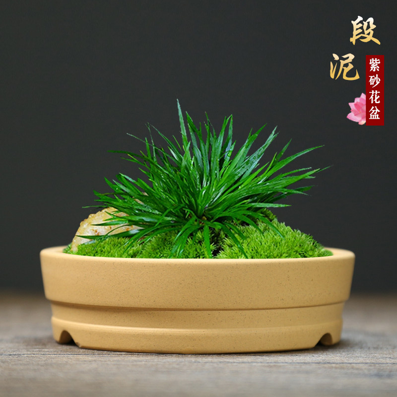 宜兴紫砂花盆多肉菖蒲绿植老桩室内桌面把玩紫砂小号迷你盆景盆