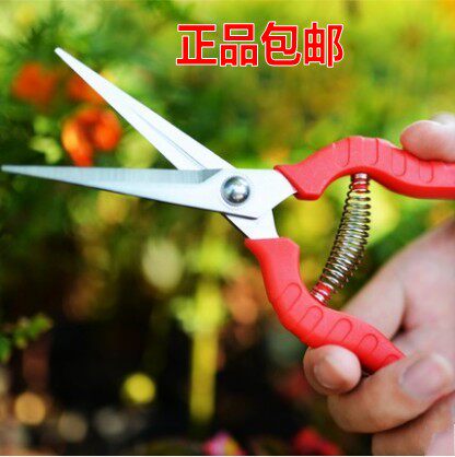 摘果剪花剪修枝剪树枝剪刀园艺剪刀粗枝剪园林剪果树剪五金包邮