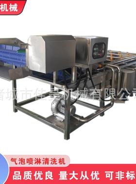 果蔬臭氧洗菜机全自动辣椒气泡清洗机不锈钢网带式金针菇清洗机