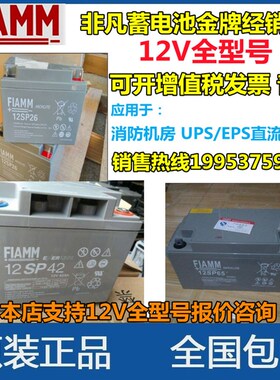 FLAMM非凡蓄电池12SP/12V7AH17AH24AH42AH65AH100AH120AH免维护