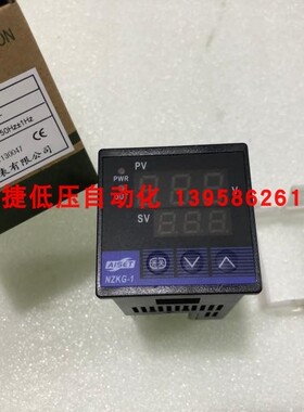 AISET亚泰 NZKG-1 调压表 可控硅电压调整器 一体化调压表 NZKG-2