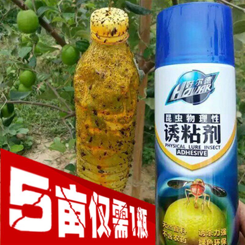 瓜果实蝇诱粘剂针蜂喷雾昆虫诱捕剂杀果蝇药诱捕器果蝇引诱剂果园