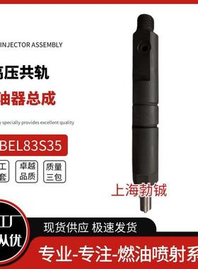 厂家直供喷油器injector KBEL83S35，含油嘴DLLA124S1365