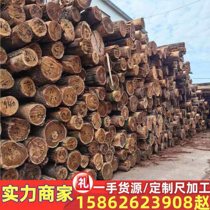 澳洲油柏 原木木材 寿材棺木料工艺品家装木材 大小径油柏木