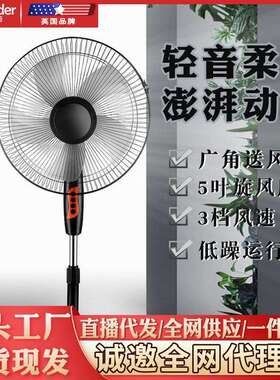 厂家16寸黑色家用电风扇多档可调节大功率五叶落地立式摇头落地扇