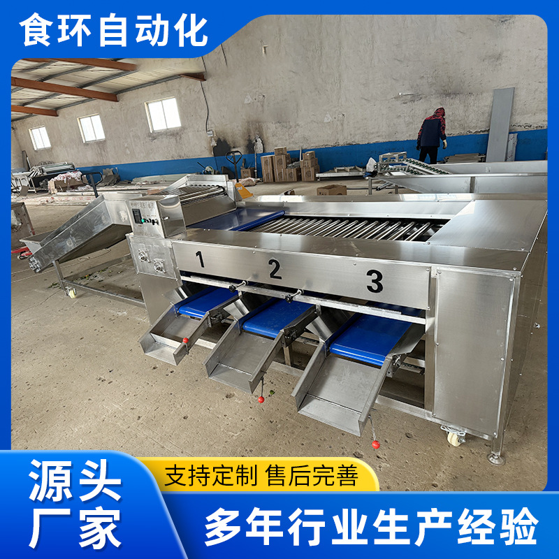 芒果滚杠式分选机 土豆柠檬猕猴桃分拣机 百香果滚杠式选果机