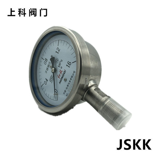 厂家直销红旗仪表不锈钢压力表Y-100BF1mpa防腐耐高温全不锈钢
