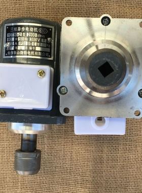 YDT ASF82A B112Z 60w 80W 120W 140W 250W 微型三相异步电动机