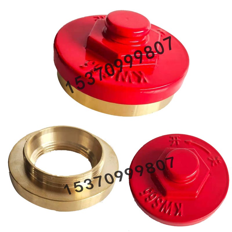 泡沫消火栓PS水泵接合器多用型芜湖铁扇消火栓防撞调压栓地下栓