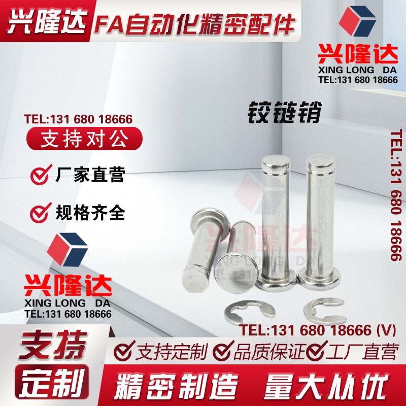 50/40/45/30/24/25铰链销C-HCDGH8-20/17/22/3/4/5/6/10/12/13/18