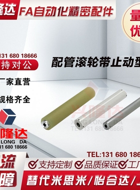 ROLNT ROLNA ROLNS-D40~80 d12~35 L550~1000 带止动螺丝型长配管