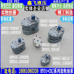 70x25 100x25卧轴矩台平面磨床齿轮油泵山J 35x25 山厂01