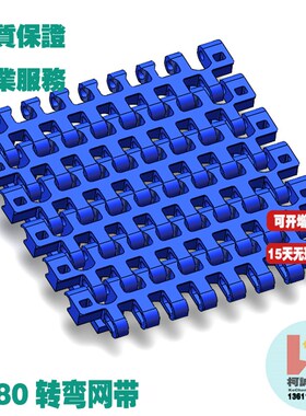 1280塑料输送网带网链转弯传输链板网链节距2540专用转弯传送网链