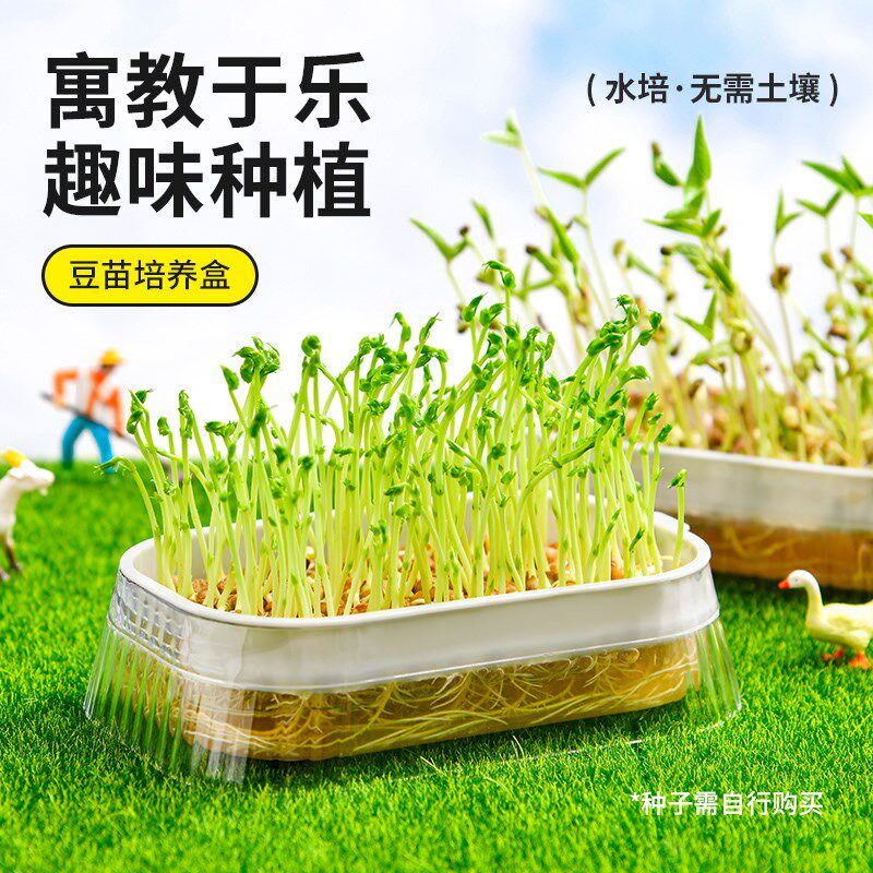 日本豆芽发芽盆无土栽培豆苗水培蔬菜设备苗菜育苗托盘猫草种植