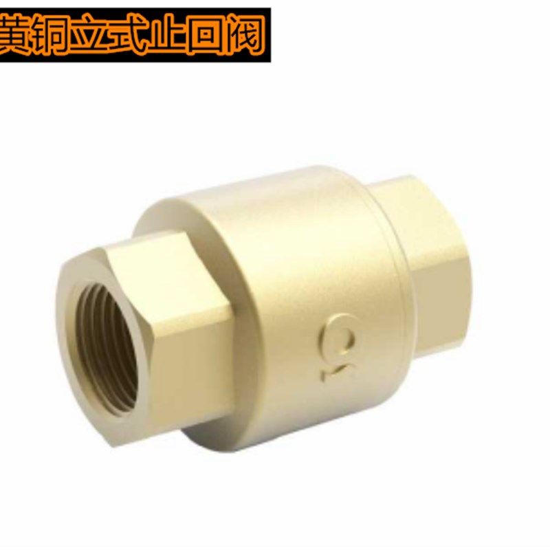 立式止回阀全铜加厚水泵水管水表止逆阀弹簧单向阀4分6分1寸
