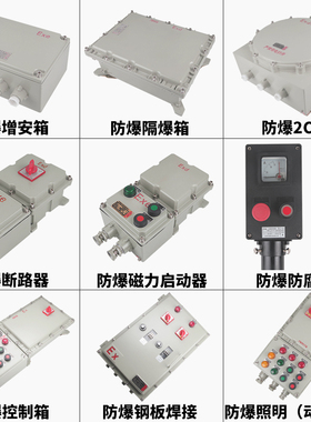 防爆防腐操作柱BZC8050-A2D2B1G防腐控制箱 防腐操作箱  LCZ8030