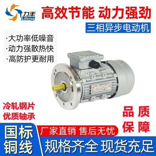 YS铝壳三相异步交流380V全铜0.25/0.55/0.75/1.1/1.5KW国标马达